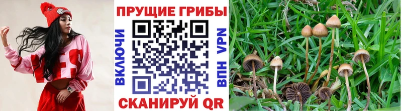 продажа наркотиков  кракен ССЫЛКА  Галлюциногенные грибы ЛСД  Красный Холм 